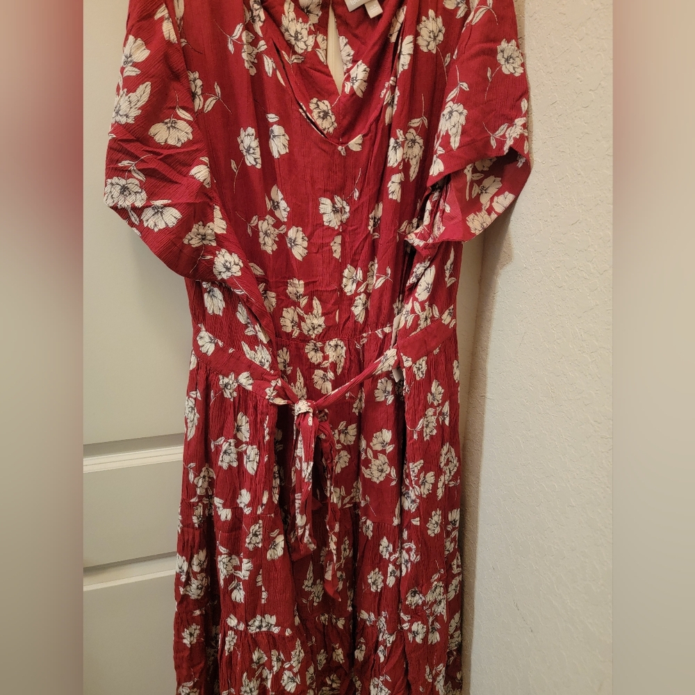 Beautiful plus size dress by Woman Within in 4x